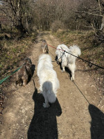 /album/en-fotogaleria/fb-img-1751567096158-2-jpg/